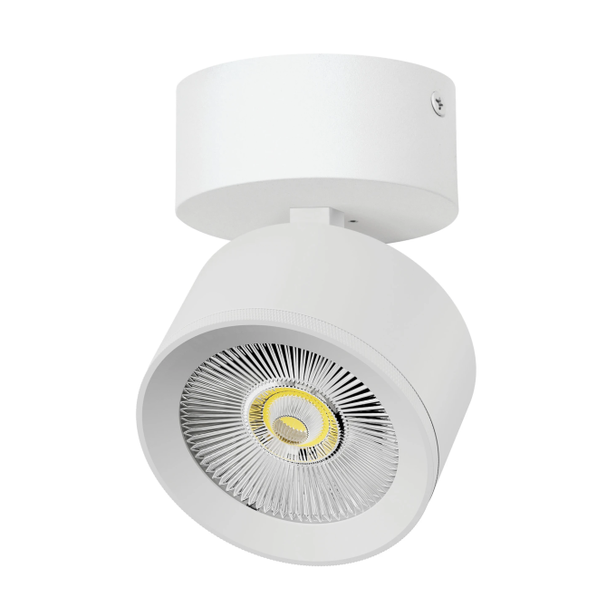 Светильник накладной LIGHTSTAR ALTA PRO A5546SO